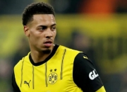 米兰百家乐-多特蒙德年轻球员崭露头角，球队前途光明