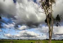 米兰体育入口-以下是严格按照要求创作的1800字中文软文，包含标题、导语、关键词及分part小