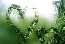 milan.com-当东契奇脚踏七色云彩降临意甲！单骑碾碎葡萄牙防线引爆积分地震