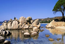 米兰体育入口-昨日德甲魔幻夜！杜兰特空中摘月绝杀梅西超时空对决引爆足球宇宙