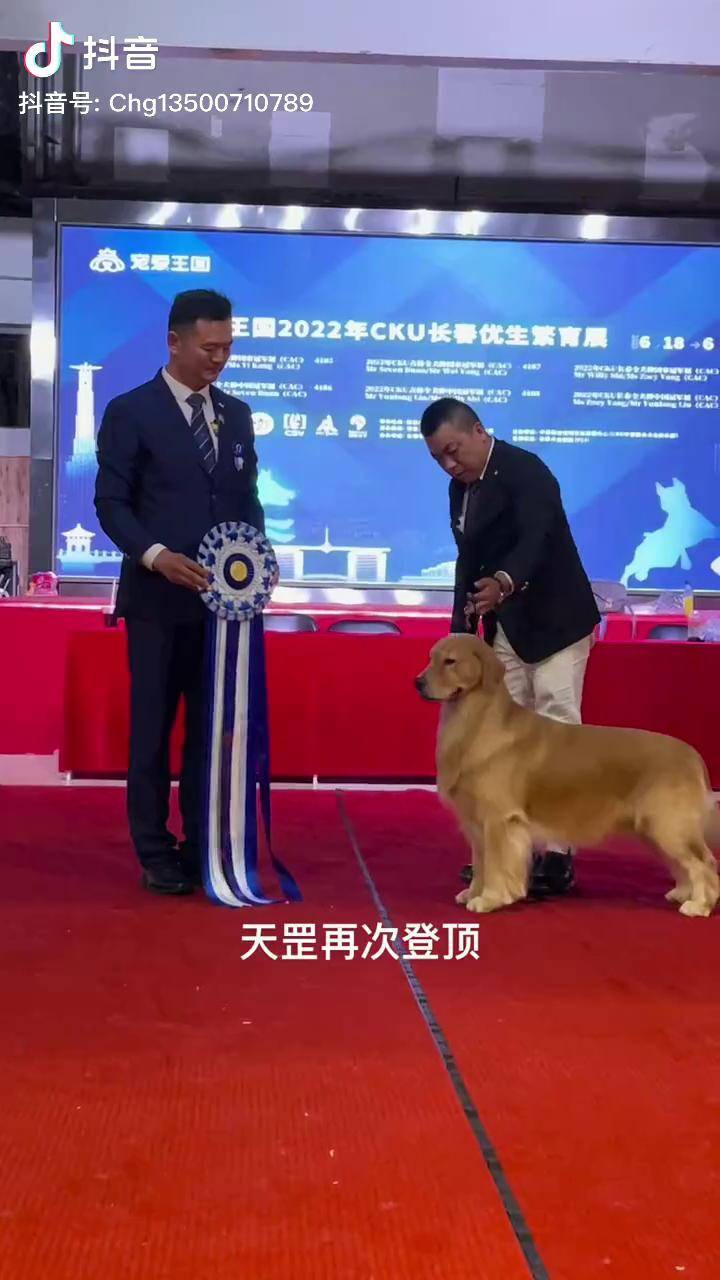 以色列网球队实力强大，再次登顶领奖台